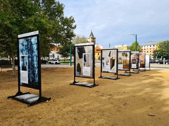 To nejlepší ze sbírek Západočeské galerie v Plzni | Západočeská galerie v Plzni