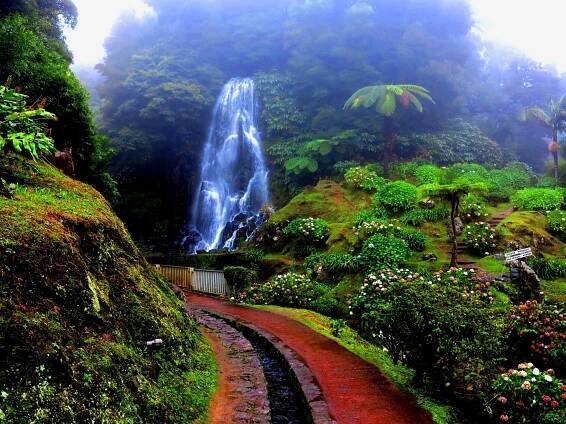 Madeira a Azorské ostrovy