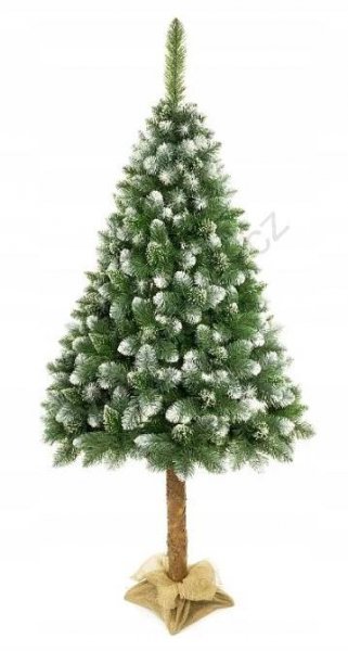 Vánoční stromek na kmenu 220 cm borovice