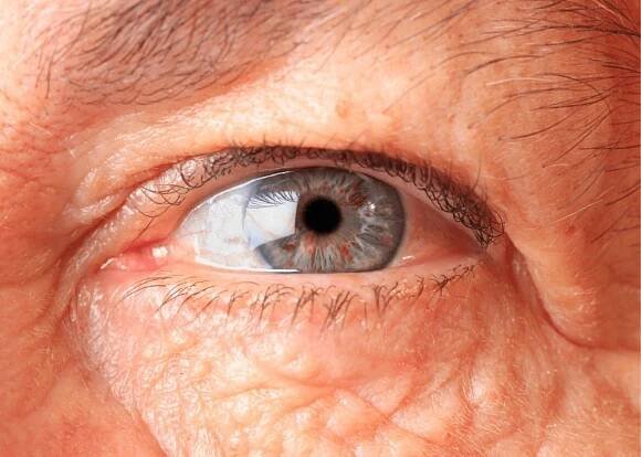 A Comprehensive Guide to Eye Care for Older Adults — More Life Health - Seniors Health & Fitness