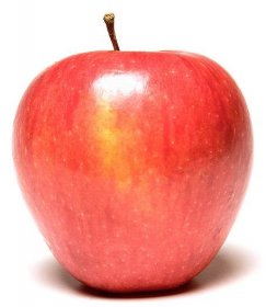 jablko-odroda-pinova