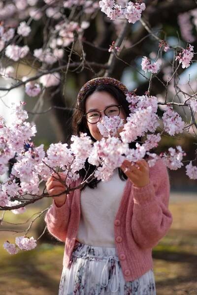 say hi and join the sakura squad — the wandering cam