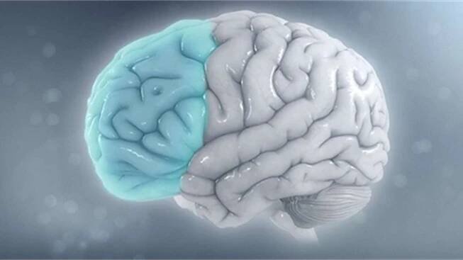 Poruchy soustředění a hyperaktivita jsou dědictvím z pravěku. Tehdejším lovcům ADHD svědčila | Foto:  https://www.scientificanimations.com/, CC BY-SA 4.0