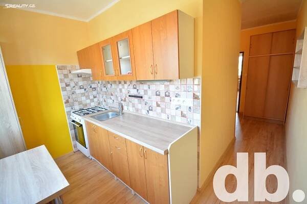 Pronájem bytu 2+1 58 m², 1. máje, Nová Role