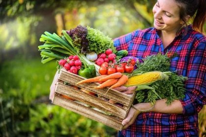 Jaké druhy zeleniny sázet vedle sebe, abyste maximalizovali úrodu