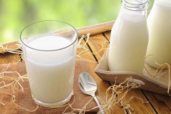 Why Buy Freeze Dried Camel Milk?