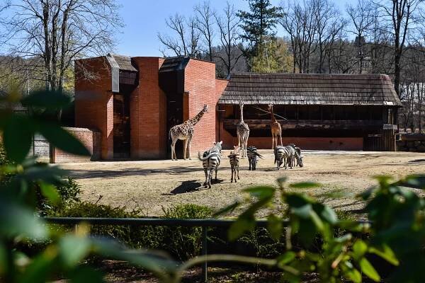 Liberecká zoo připravila Den Země. Děti poznaly blíže zvířata a pekly placky