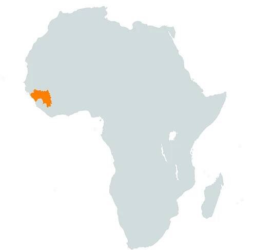 Guinée Conakry – International BESC Business