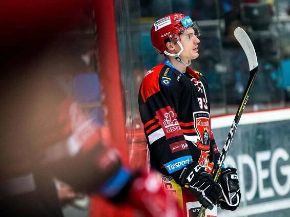 Hokejová extraliga: Mountfield HK - HC Sparta Praha.