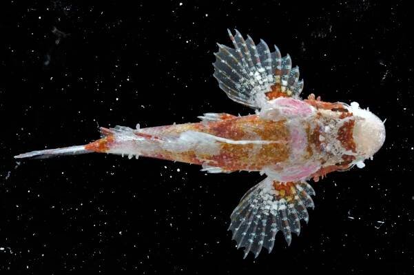 Photographs – Toonen-Bowen Lab