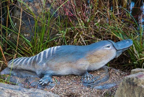 10 electric animals, from a ray that packs a deadly high-voltage punch to a species that uses electricity to communicate