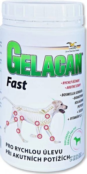 Orling Gelacan Fast