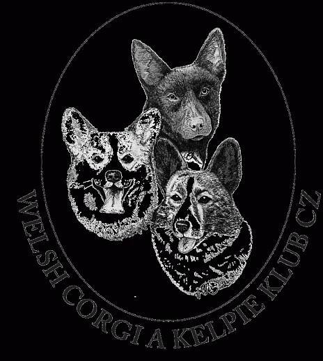 Welsh corgi a kelpie klub CZ, zapsaný spolek | Kynologický magazín eCanis.cz