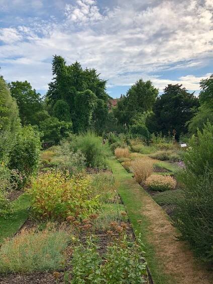 what to do in chelsea and kensington 14