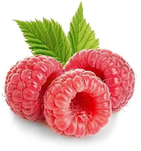 Raspberry Seed Oil Organic - Rubus Idaeus