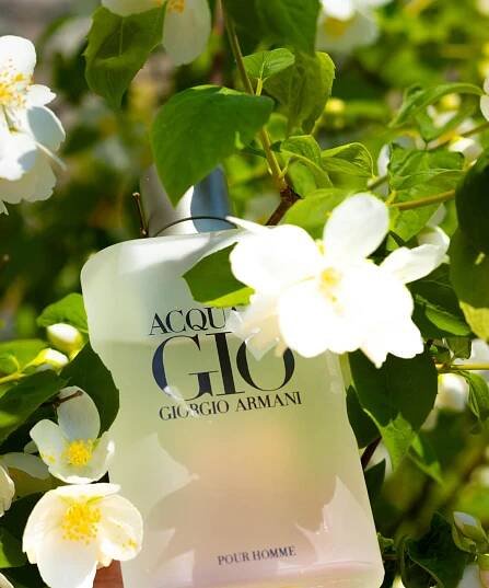 Acqua di Gio Giorgio Armani pro muže