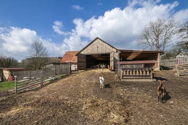Farma Držovice | České středohoří