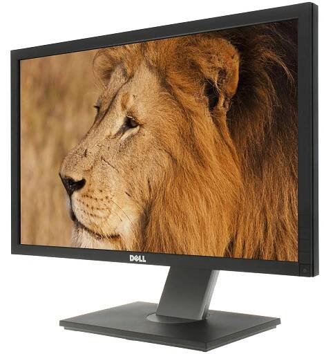 24" Dell P2411H Professional