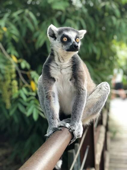 duminda-perera-oovkoxrtzz4-unsplash-2.jpg