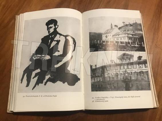 Kniha Franz Kafka - životopis - Trh knih - online antikvariát