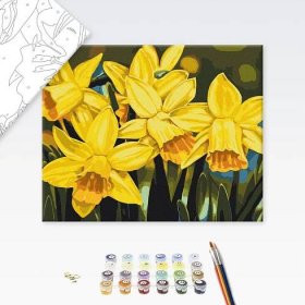 Malování podle čísel květiny narcisů