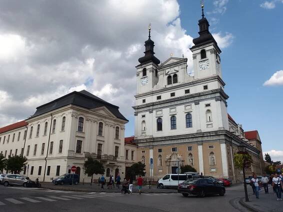 Katedrála svätého Jána Krstiteľa (Trnava)