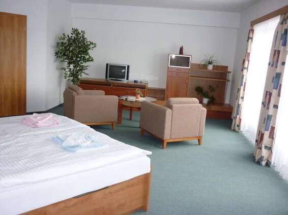 Lázně Bechyně hotel Olga