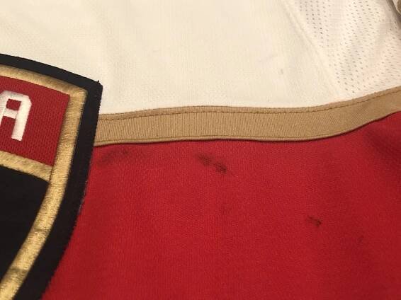 James Reimer Panthers MSD — Game Worn Goalie Jerseys