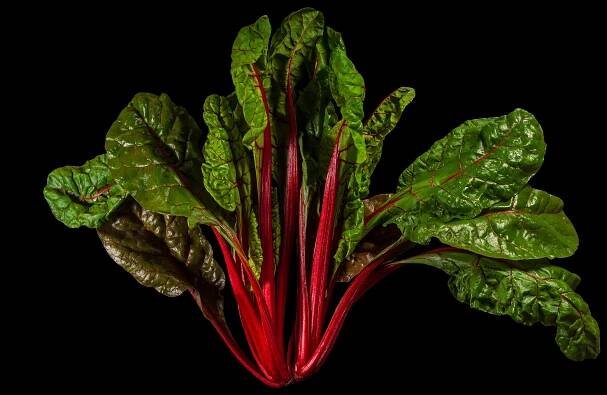 Red Chard: Beta vulgaris subsp. vulgaris Cicla-Group