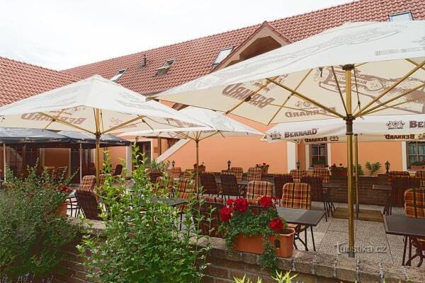 Hotel Pavlov - Vinařský cíl