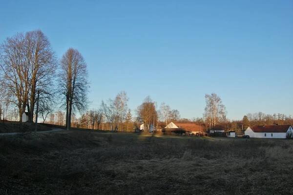 Pejhov
