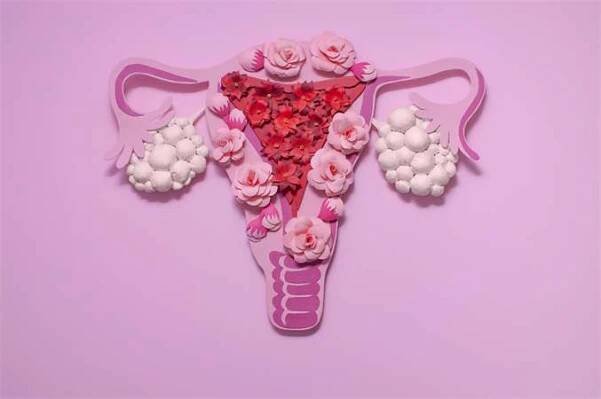 Syndrom polycystických ovarií: hormonální porucha a příčina neplodnosti Istock.com