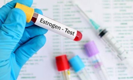 Estrogen v těle a jeho souvislost s přibýváním na váze