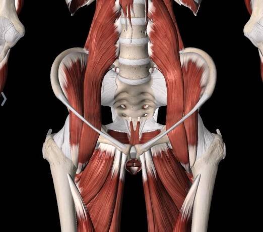 male pelvic floor dysfunction