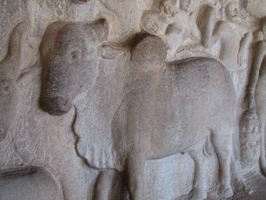 Soubor:Cow bas relief in Mamallapuram.jpg – Wikipedie