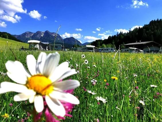 Foto Campingplatz Sommer 2021