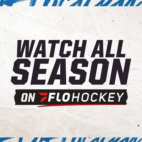 Macon Mayhem Pro Hockey - Hockey in the Heart of Georgia