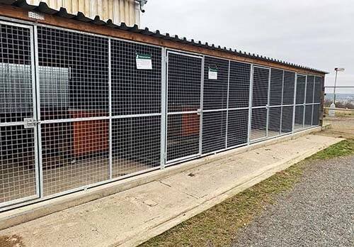 Městský útulek pro psy Lesan Kralupy nad Vltavou - Fotky útulku 