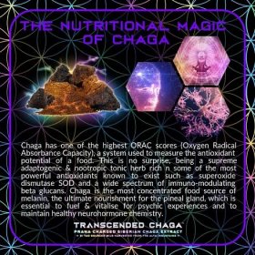 Transcended CHAGA - Primal Alchemy - AdamRaw