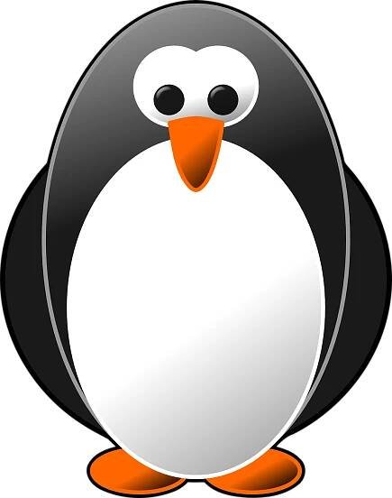 Linux Mascot Cartoon Penguin PNG
