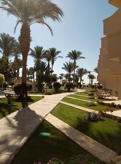 Pyramisa Sahl Hasheesh | Rebornea