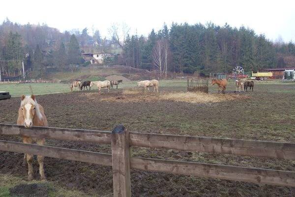 Ranč Polom foto 1