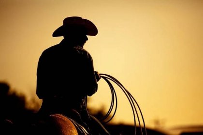 Stáhnout - Kovboj s lasem silueta na maloměstský rodeo. Poznámka: přidané zrno. — Stock obrázek