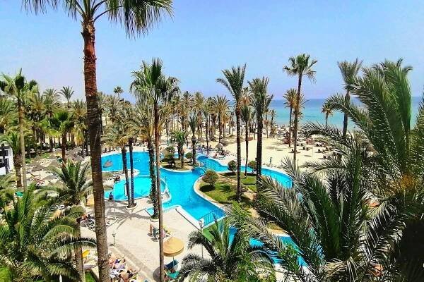 Riadh Palms