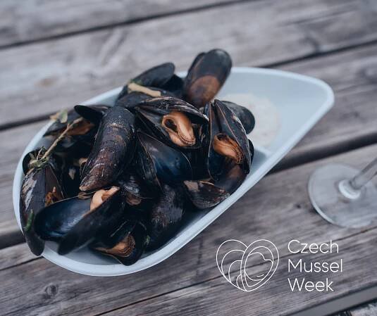 Czech mussel week v Salutu