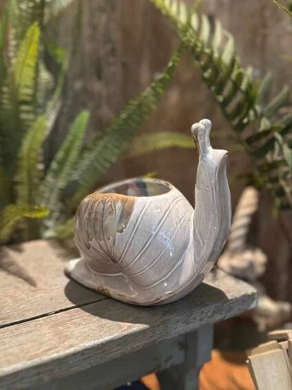 Stoneware Snail Planter on wood stool in shed