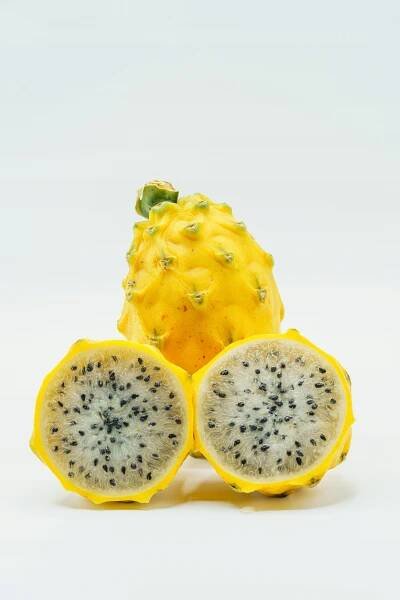 PITAHAYA ŽLUTÁ Kaktus Jedlé plody DRAČÍ OVOCE Exotická rostlina SEMENA Druh rostliny kaktusy