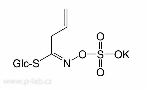 SINIGRIN MONOHYDRÁT | P-LAB