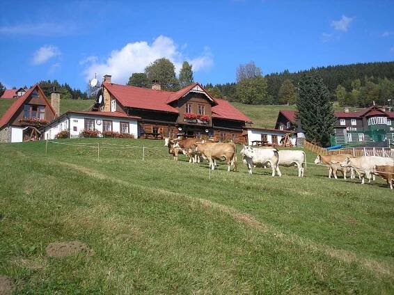 Pension v létě - ubytování Pec pod Sněžkou - foto 15