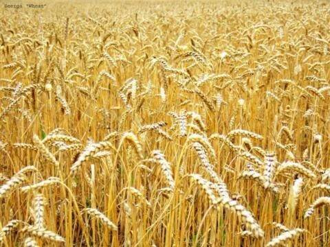 Jan Klapka - Zemědělská činnost - agroFIRMY / ZEMĚDĚLSKÉ PODNIKY, FARMY, ZOD / 